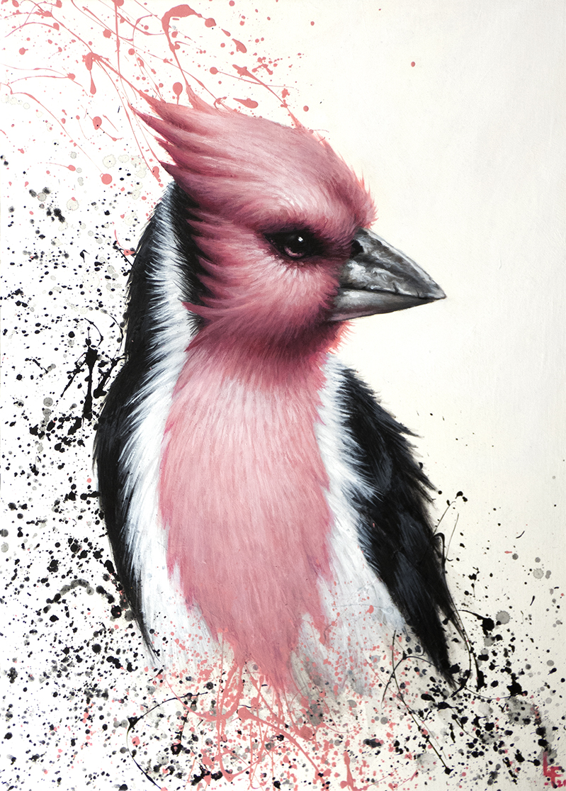 tableaux- pink bird -florian labaye