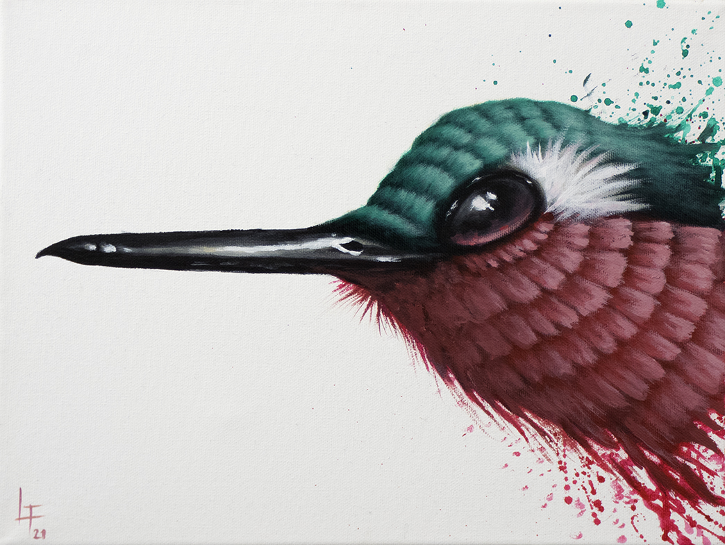 tableaux- colibri -florian labaye