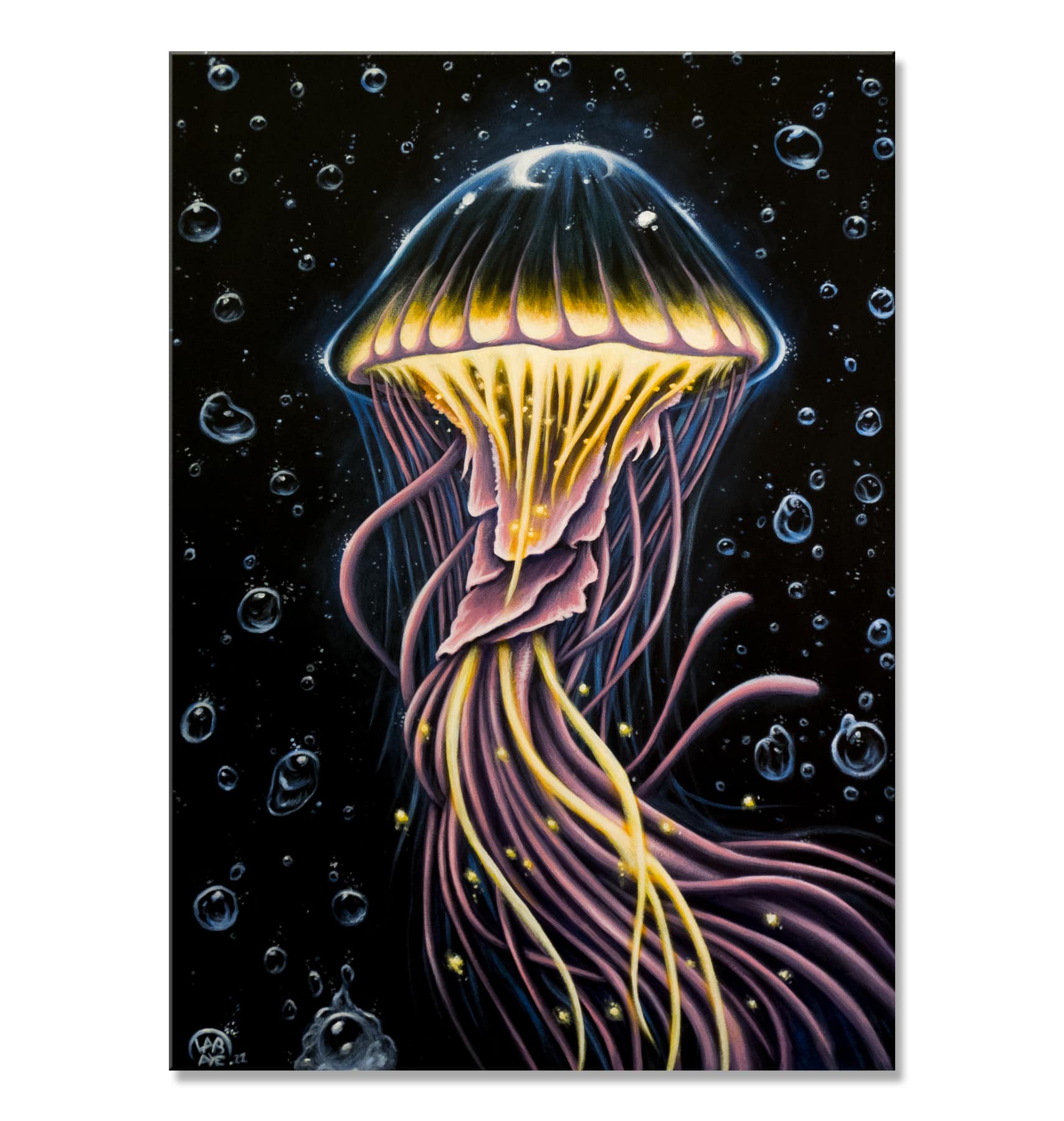 peintures- Jellyfish -florian labaye