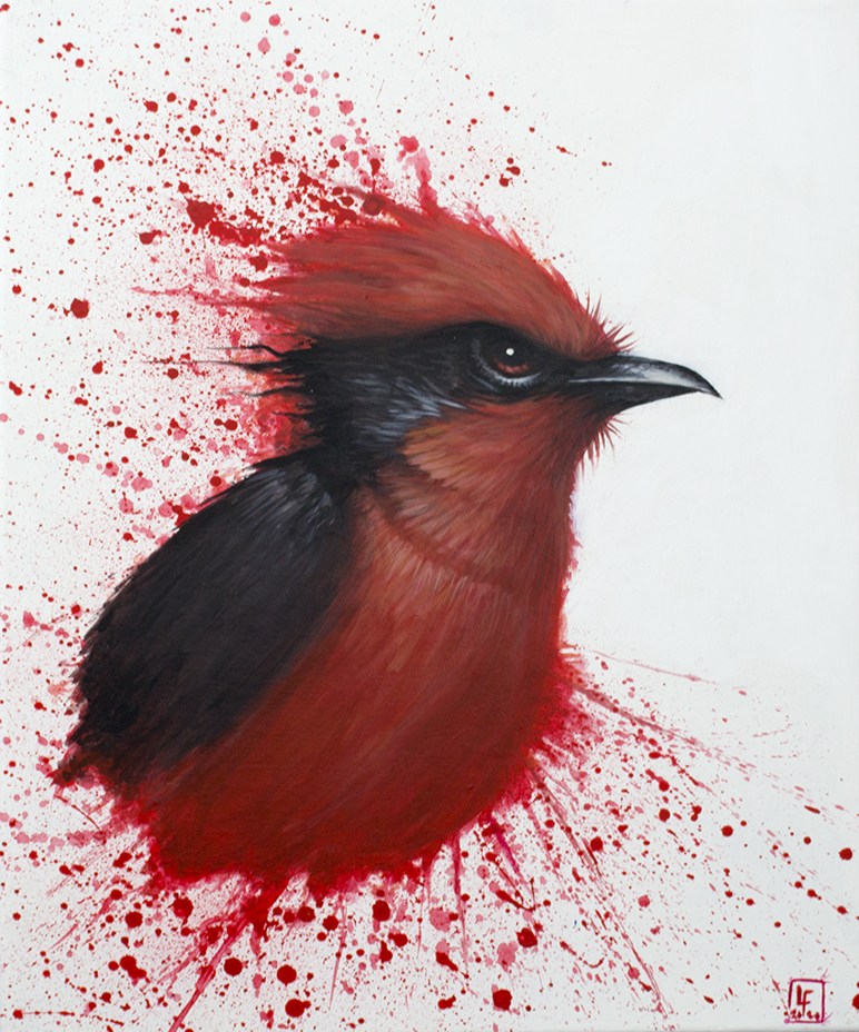 tableaux- oiseau rouge -florian labaye