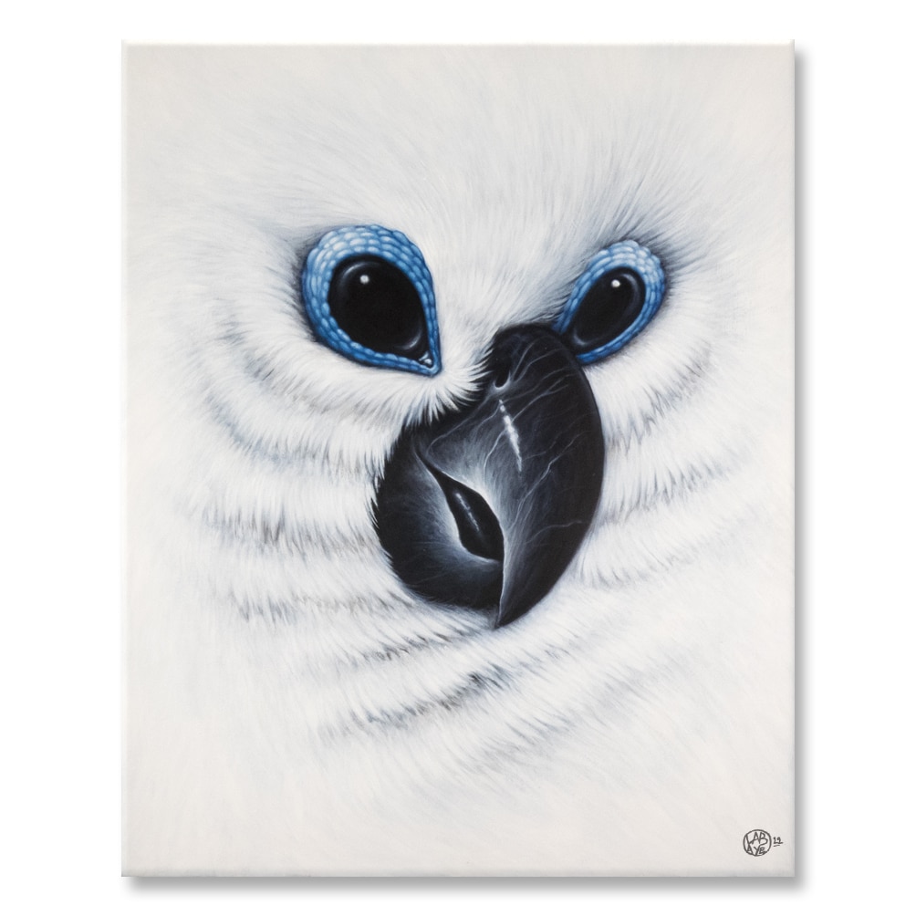 peintures - white owl -florian labaye