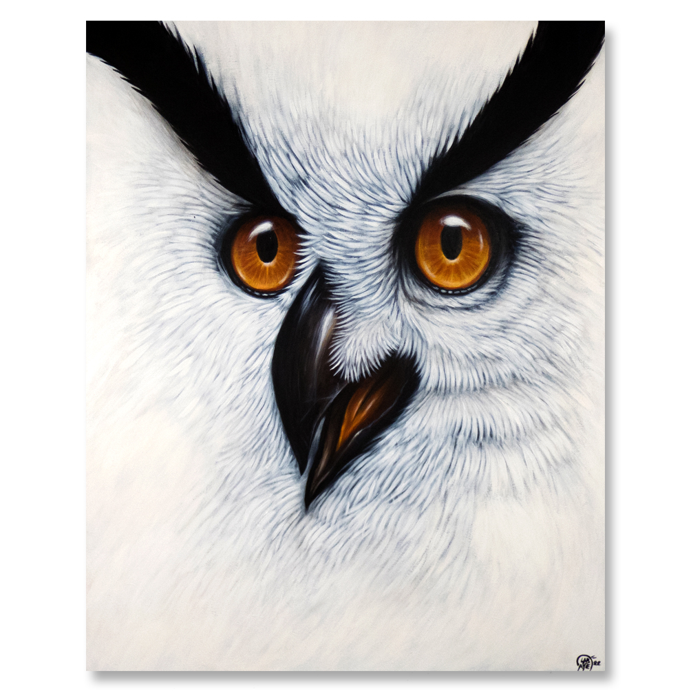 peinture- white owl -florian labaye