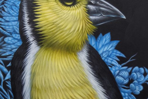 peintures - yellow bird -florian labaye